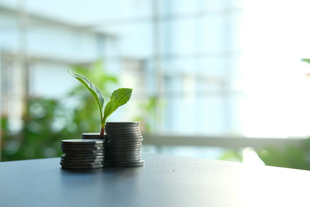 Investmentbetrug